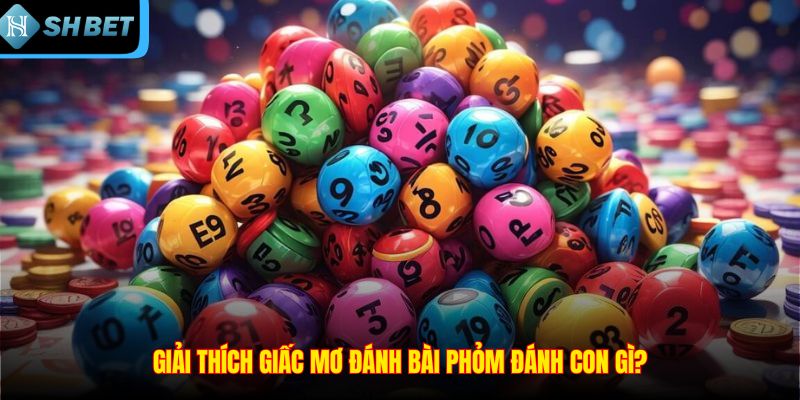 Giải thích giấc mơ đánh bài phỏm đánh con gì?
